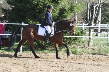 Bild 99 - WBO-Turnier am 9.4.11